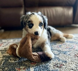 River is settling in and making herself at home