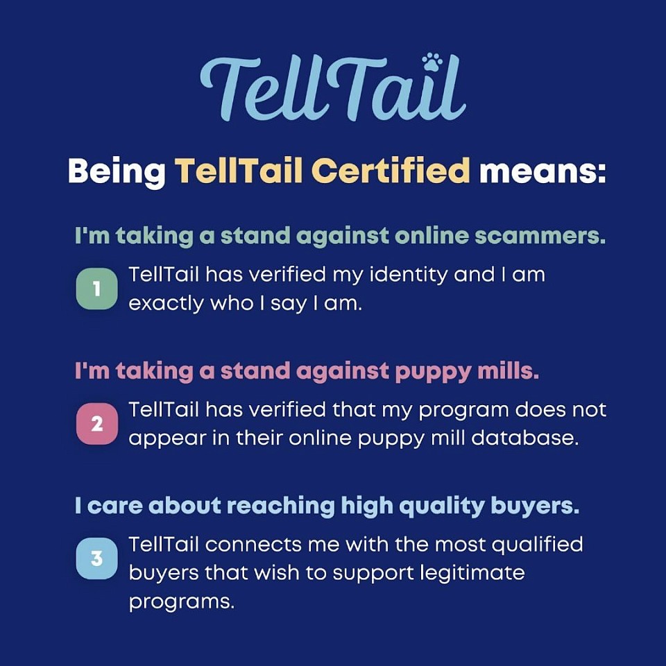 Tell Tail