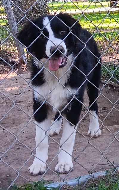Black Bi Male - Born 2/10/25