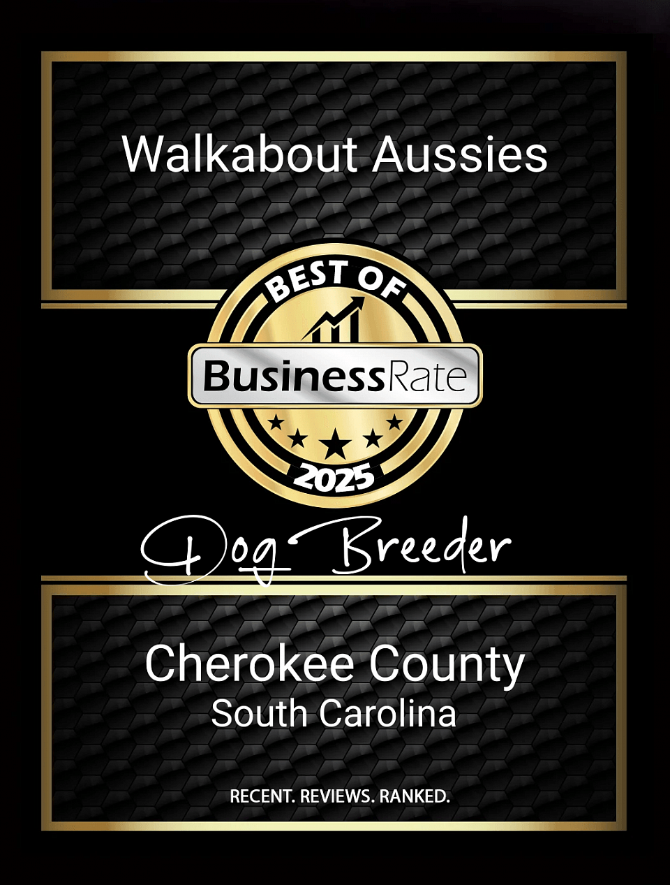 Business Rate Award 2025
