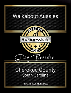 2025 BusinessRate Award