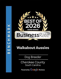 2026 BusinessRate Award